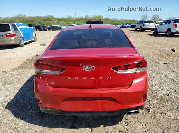 5NPE24AF1KH773575 2019 HYUNDAI SONATA Бордовый Вид сзади