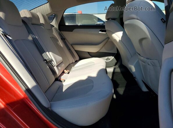 5NPE24AF1KH773575 2019 HYUNDAI SONATA Бордовый Вид задних сидений