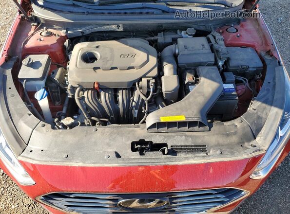 5NPE24AF1KH773575 2019 HYUNDAI SONATA Бордовый Вид задней части салона