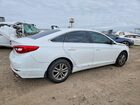2016 Hyundai Sonata Se Белый vin: 5NPE24AF2GH333002