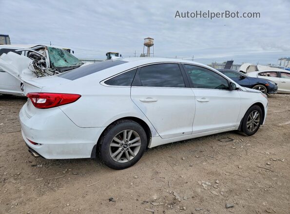 5NPE24AF2GH333002 2016 HYUNDAI SONATA Белый Задняя правая четверть