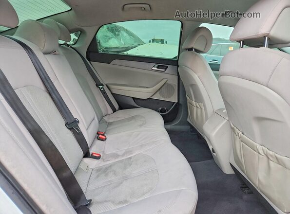 5NPE24AF2GH333002 2016 HYUNDAI SONATA Белый Вид задних сидений