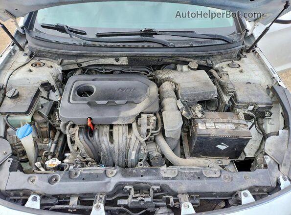5NPE24AF2GH333002 2016 HYUNDAI SONATA Белый Вид задней части салона