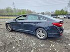 2017 Hyundai Sonata Se Черный vin: 5NPE24AF2HH471592