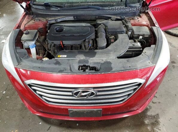 5NPE24AF2HH533461 2017 HYUNDAI SONATA Красный Вид задней части салона