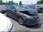 2016 Hyundai Sonata Se Dark Brown vin: 5NPE24AF3GH331825