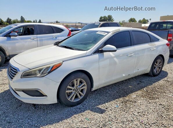 5NPE24AF3GH359186 2016 HYUNDAI SONATA Белый Передняя левая четверть