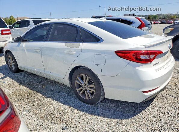 5NPE24AF3GH359186 2016 HYUNDAI SONATA Белый Задняя левая четверть