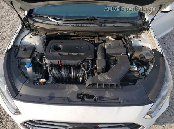 5NPE24AF3KH814918 2019 HYUNDAI SONATA Белый Вид задней части салона