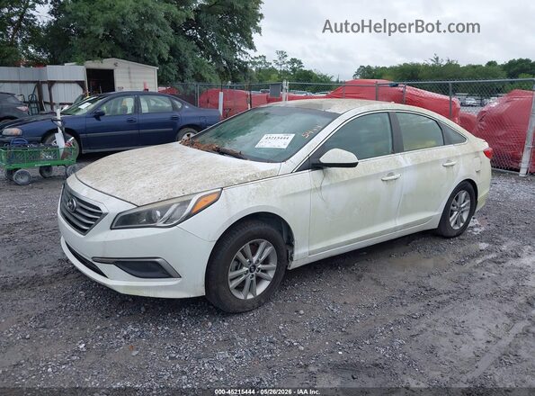 5NPE24AF4GH289164 2016 HYUNDAI SONATA Белый Передняя левая четверть