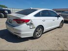 2016 Hyundai Sonata Se Белый vin: 5NPE24AF4GH353753