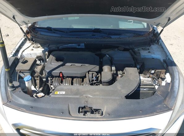 5NPE24AF4GH353753 2016 HYUNDAI SONATA Белый Вид сзади