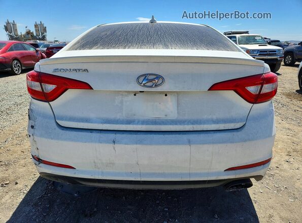5NPE24AF4GH372965 2016 HYUNDAI SONATA Белый Вид сзади