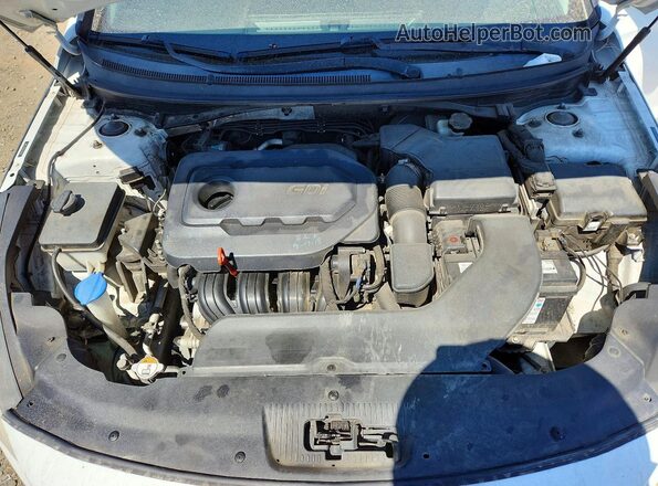 5NPE24AF4GH372965 2016 HYUNDAI SONATA Белый Вид задней части салона