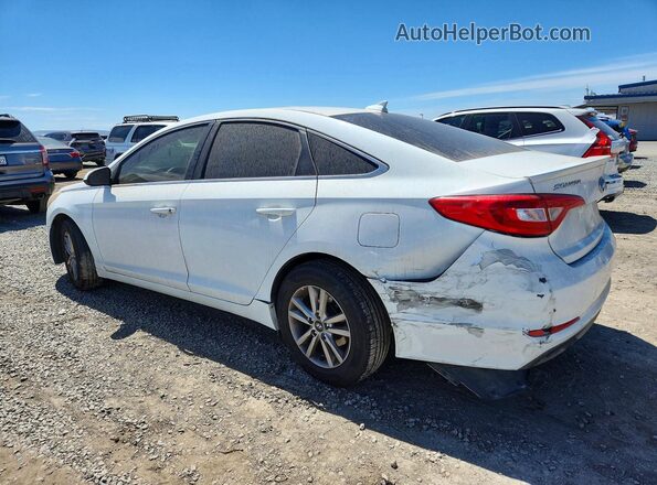 5NPE24AF4GH372965 2016 HYUNDAI SONATA Белый Задняя левая четверть