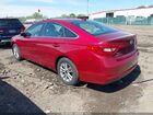 2016 Hyundai Sonata   Красный vin: 5NPE24AF4GH419007