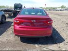 2016 Hyundai Sonata   Красный vin: 5NPE24AF4GH419007