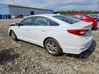 2017 Hyundai Sonata Se White vin: 5NPE24AF4HH509081
