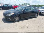 2016 Hyundai Sonata Se Black vin: 5NPE24AF5GH292249