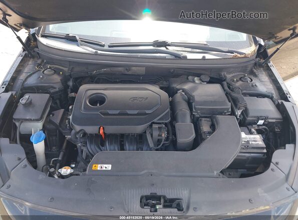 5NPE24AF5GH292249 2016 HYUNDAI SONATA Black Widok z tyłu