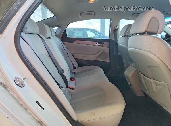 5NPE24AF5GH394814 2016 HYUNDAI SONATA Белый Вид задних сидений