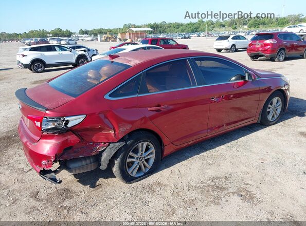 5NPE24AF5GH402846 2016 HYUNDAI SONATA Red Tył prawy