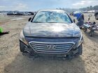 2016 Hyundai Sonata Se Black vin: 5NPE24AF5GH406282