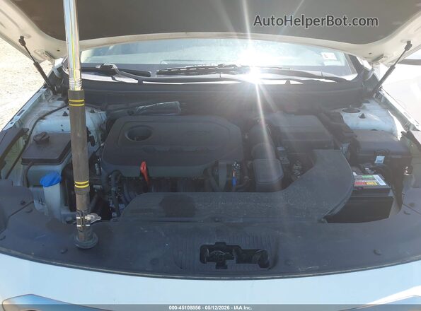 5NPE24AF6HH557519 2017 HYUNDAI SONATA White Widok z tyłu