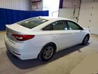 2016 Hyundai Sonata Se White vin: 5NPE24AF7GH323565