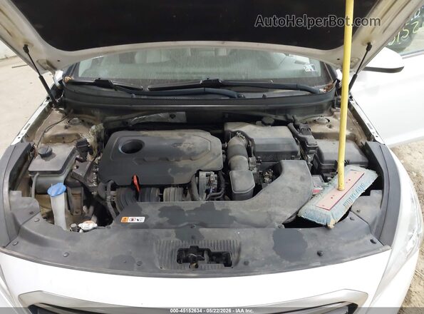 5NPE24AF7GH389310 2016 HYUNDAI SONATA Белый Вид сзади