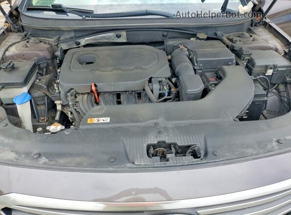 5NPE24AF7GH395348 2016 HYUNDAI SONATA Коричневый Вид задней части салона