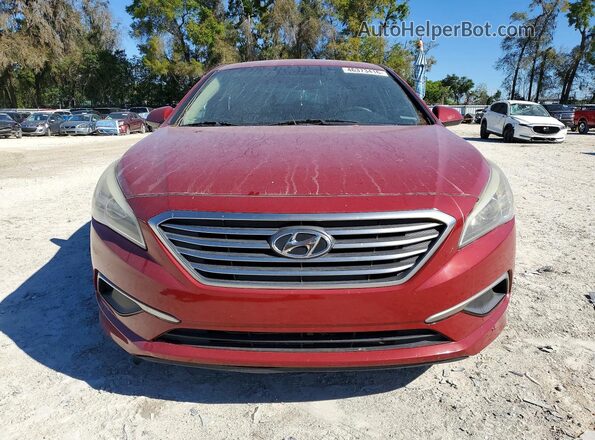 5NPE24AF7GH404808 2016 HYUNDAI SONATA Бордовый Вид спереди