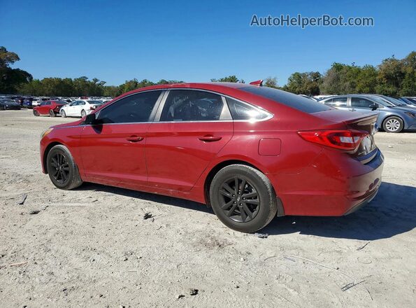 5NPE24AF7GH404808 2016 HYUNDAI SONATA Бордовый Задняя левая четверть