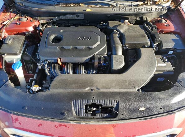 5NPE24AF7GH404808 2016 HYUNDAI SONATA Бордовый Вид задней части салона
