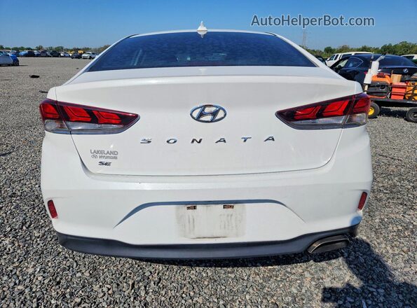 5NPE24AF7KH745084 2019 HYUNDAI SONATA White Вид ззаду