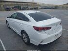 2019 Hyundai Sonata Se Белый vin: 5NPE24AF8KH817698 2019 Hyundai Sonata Se Белый vin: 5NPE24AF8KH817698