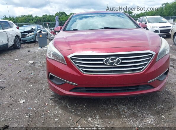 5NPE24AF9GH368166 2016 HYUNDAI SONATA Красный Вид спереди