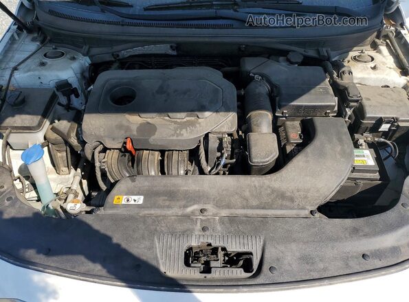5NPE24AF9HH489197 2017 HYUNDAI SONATA Белый Вид задней части салона