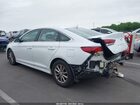 2019 Hyundai Sonata Se White vin: 5NPE24AF9KH745331