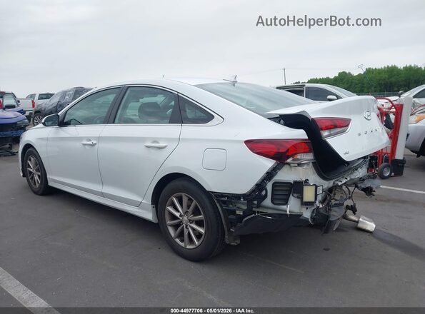 5NPE24AF9KH745331 2019 HYUNDAI SONATA White Tył lewy