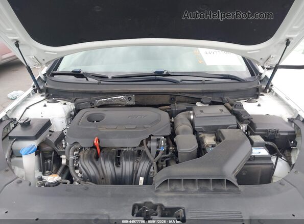 5NPE24AF9KH745331 2019 HYUNDAI SONATA White Widok z tyłu