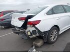 2019 Hyundai Sonata Se White vin: 5NPE24AF9KH745331