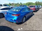 2019 Hyundai Sonata Se Синий vin: 5NPE24AF9KH755082