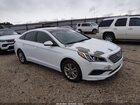 2016 Hyundai Sonata Se White vin: 5NPE24AFXGH361971