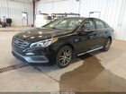 2017 Hyundai Sonata Sport 2.0t Black vin: 5NPE34AB6HH544909 2017 Hyundai Sonata Sport 2.0t Black vin: 5NPE34AB6HH544909