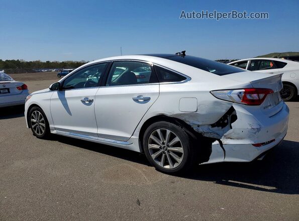 5NPE34AF0GH313425 2016 HYUNDAI SONATA Белый Задняя левая четверть