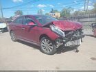 2016 Hyundai Sonata Sport Red vin: 5NPE34AF0GH395124