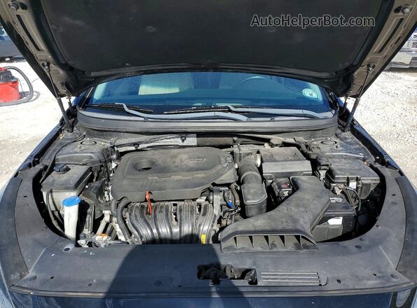 5NPE34AF0JH613862 2018 HYUNDAI SONATA Black Սալոնի հետևի տեսք
