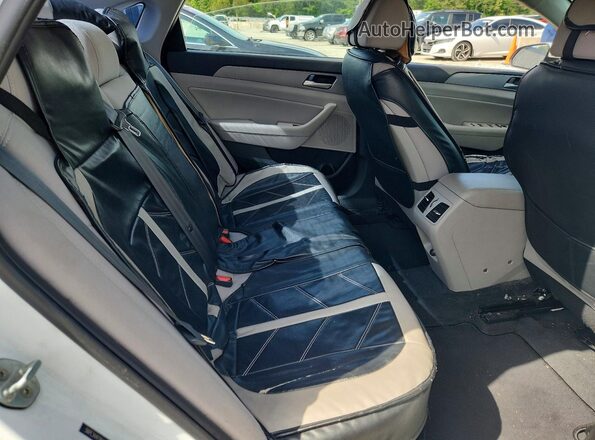 5NPE34AF0KH751984 2019 HYUNDAI SONATA Белый Вид задних сидений