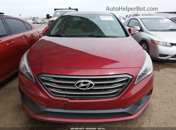 5NPE34AF1GH341038 2016 HYUNDAI SONATA Бордовый Вид задней части салона